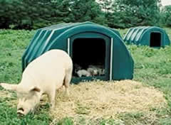 Plastic Pig Arks