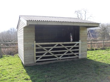 Animal Arks