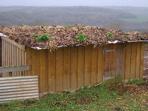 Animal ArksTurf roofed piggery