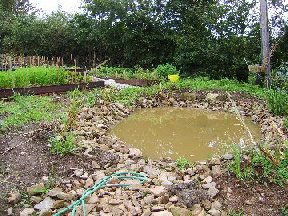 Animal ArksOrnamental pond at West Frogwell Farm