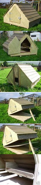 Animal Arks The Tavy Poultry Ark