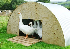 Duck or Goose House