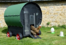 Eco Chicken Wagon